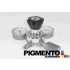 REGULADOR DE NITROGENIO